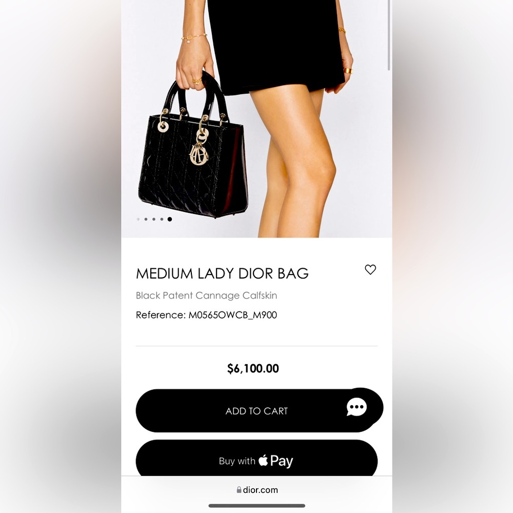 Christian Dior Handbag